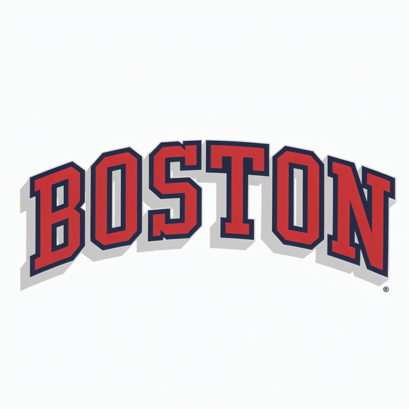 Boston Graphic Tee - Casual Unisex T-Shirt