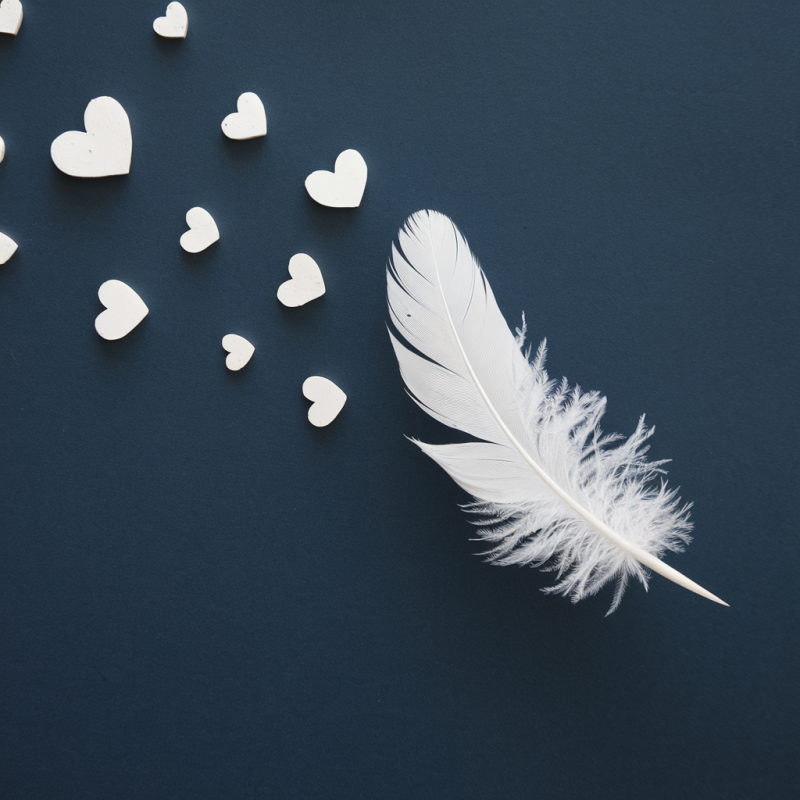 Heart and Feather Graphic Black T-Shirt