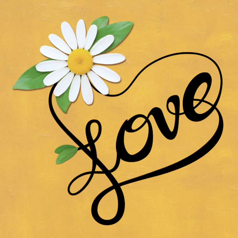 Daisy Love Graphic T-Shirt