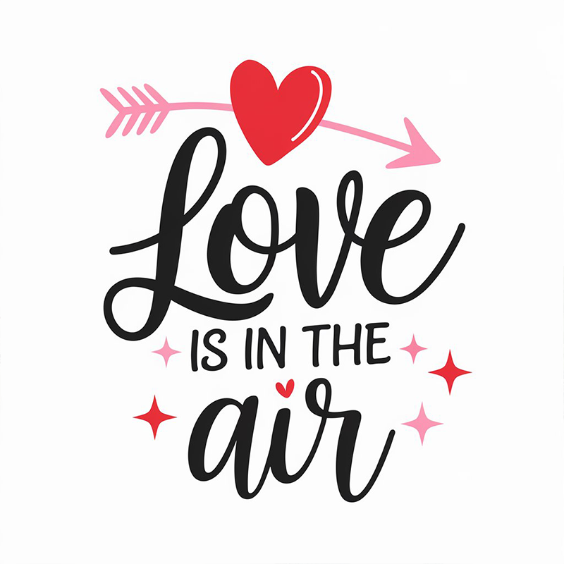 Valentine's Day 'Love is in the Air' T-shirt