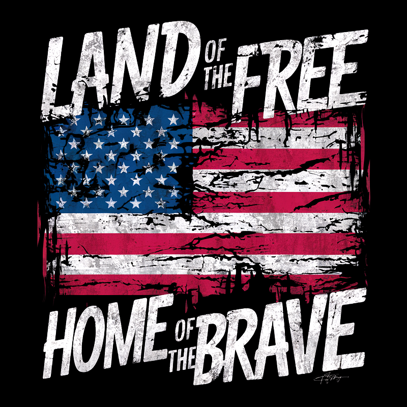 Independence Day Graphic Top