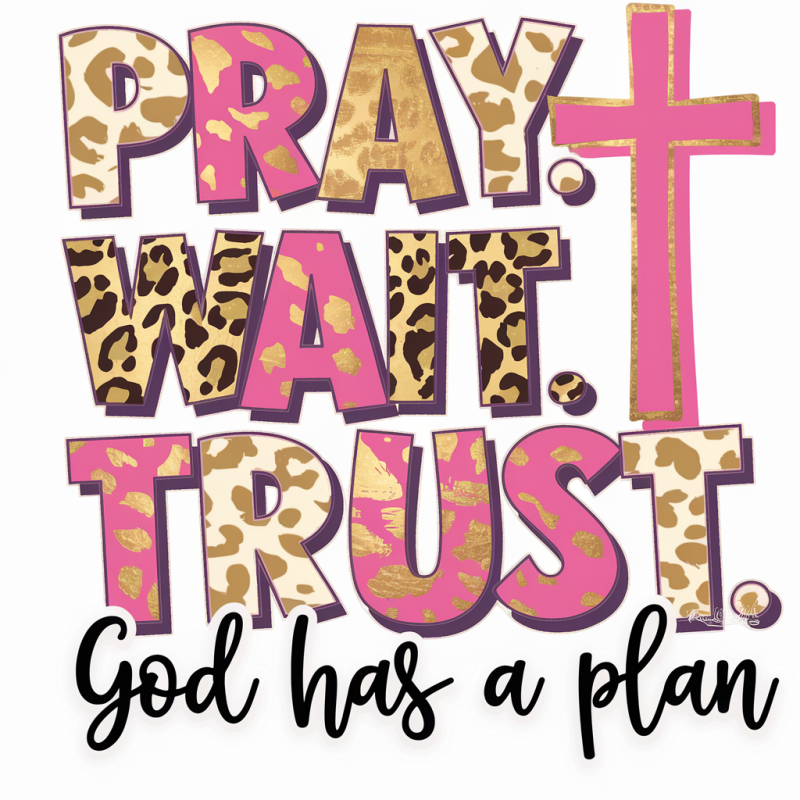 Leopard Print Pray Wait Trust T-Shirt - God Has A Plan