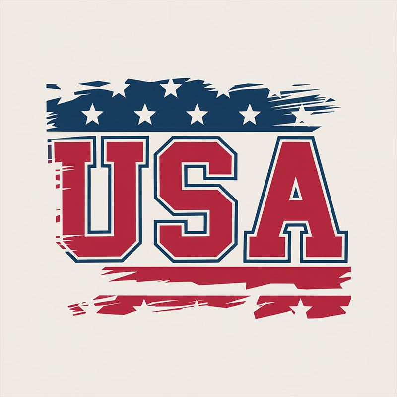 Independence Day Flag Print T-Shirt