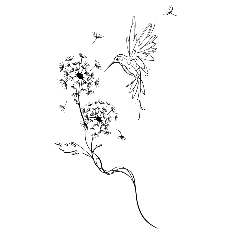 Hummingbird and Floral Graphic T-Shirt