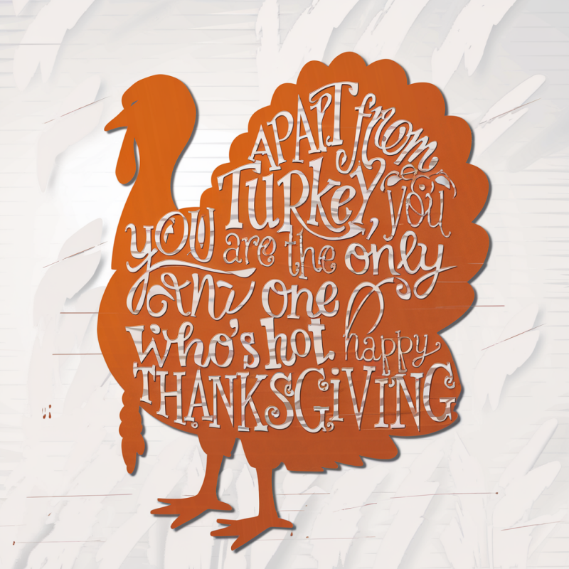 Thanksgiving Turkey Graphic T-Shirt