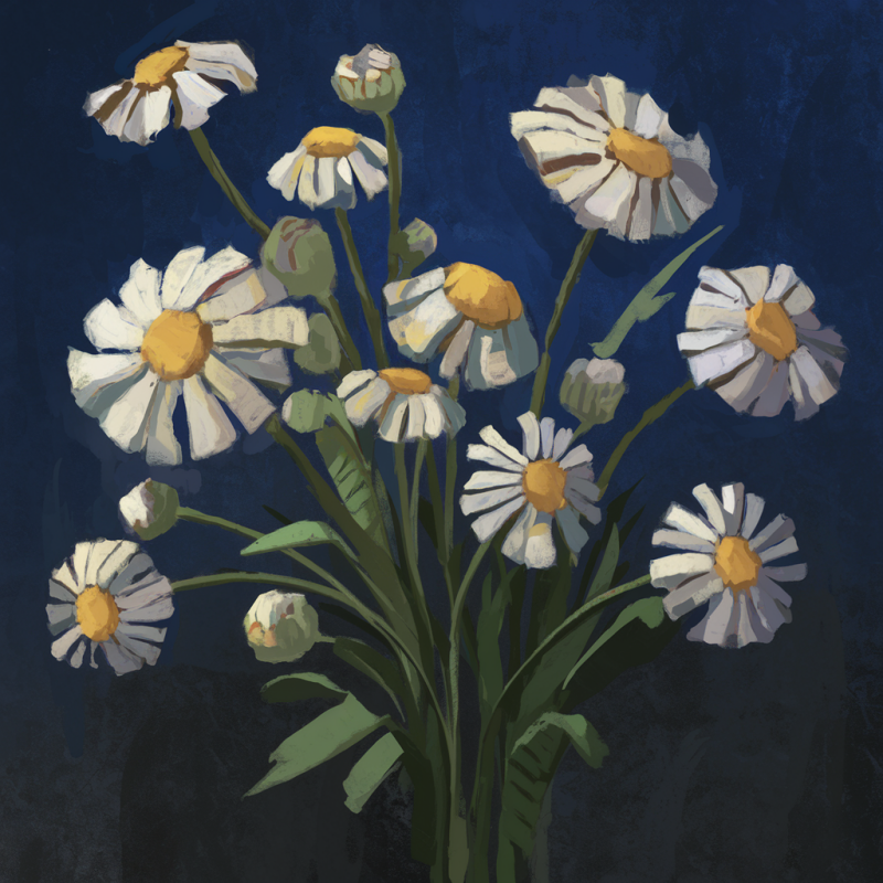 Stylish Black Floral Daisy Print T-Shirt