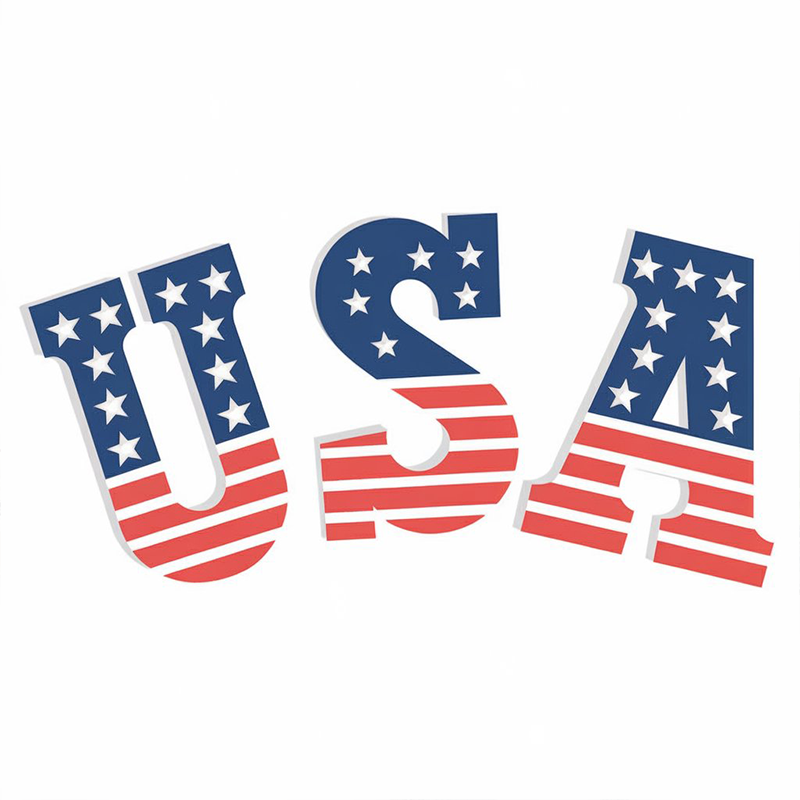 Independence Day Graphic USA T-Shirt