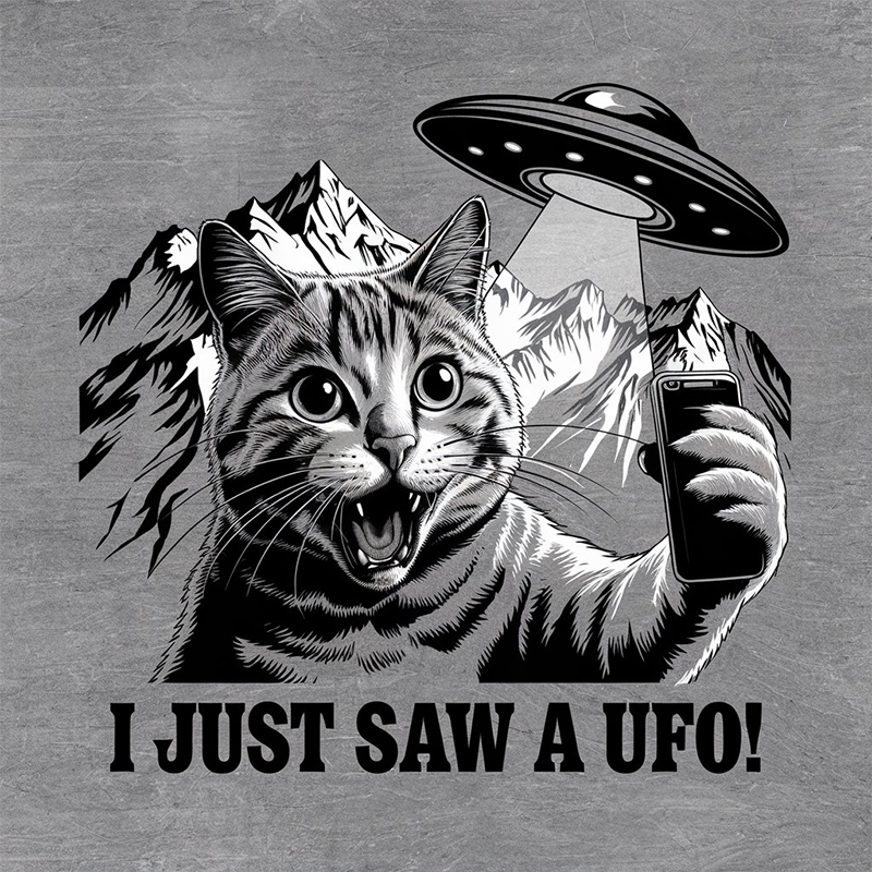 Casual Pattern Top - 'I JUST SAW A UFO' T-shirt