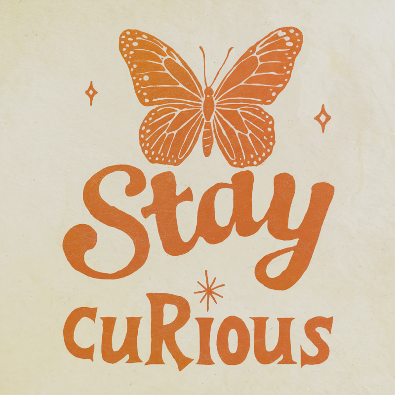Stay Curious Butterfly Graphic T-Shirt