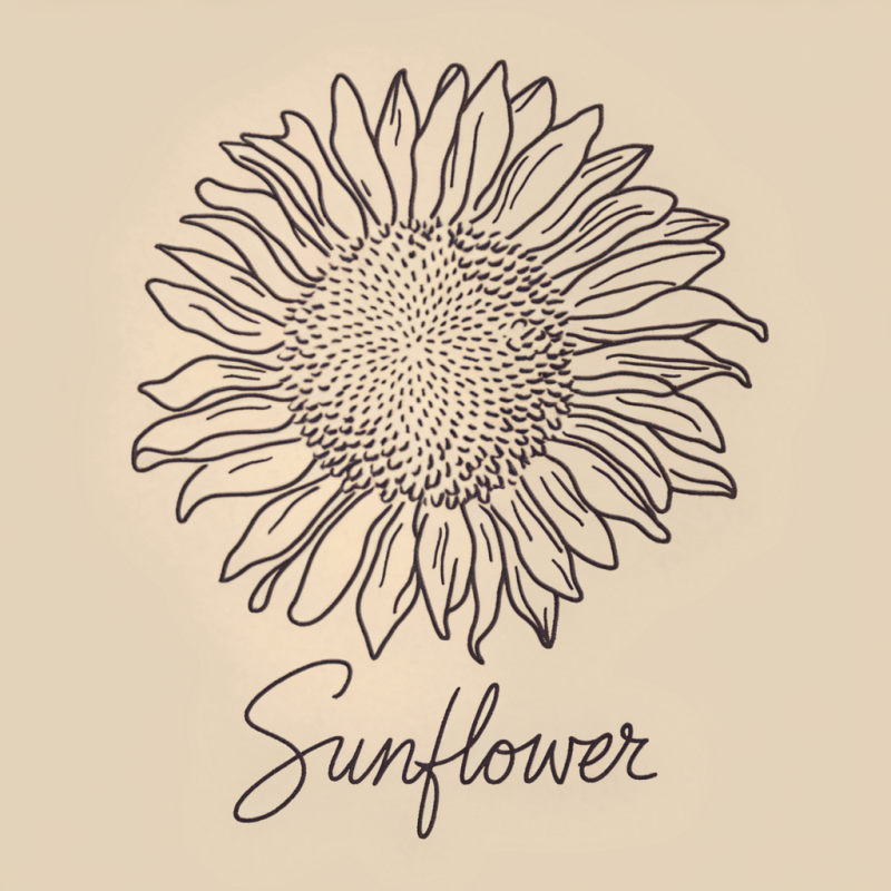 Sunflower Graphic Cotton T-Shirt White