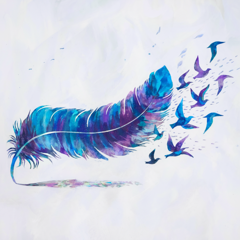 Colorful Feather and Birds Graphic T-Shirt