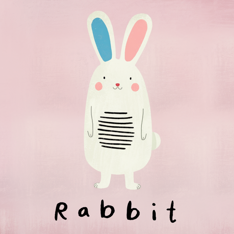 Cute Rabbit Graphic T-Shirt for Kids
