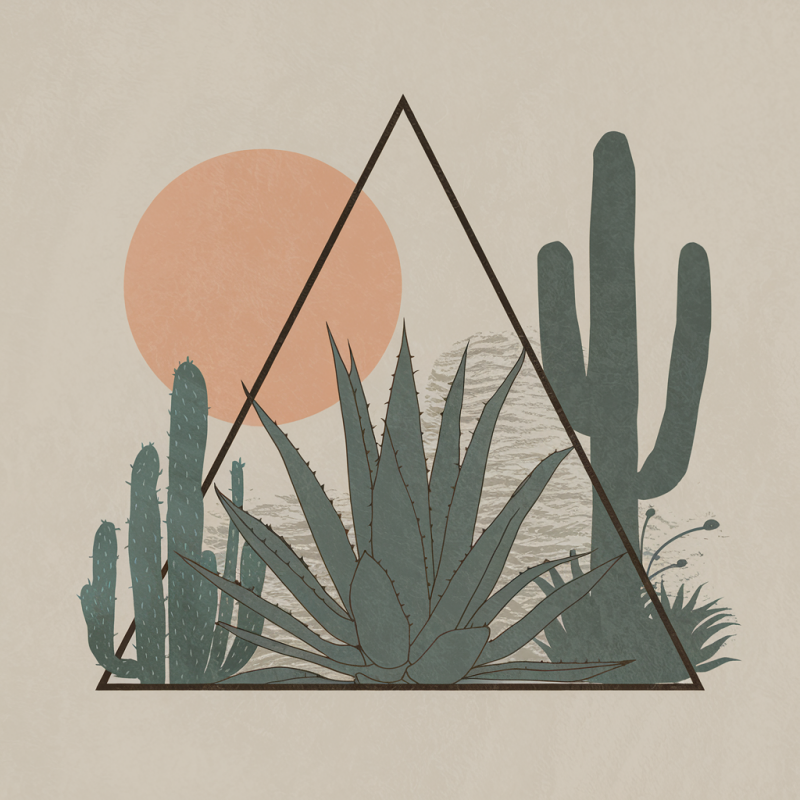 Cactus Geometric Print White T-Shirt