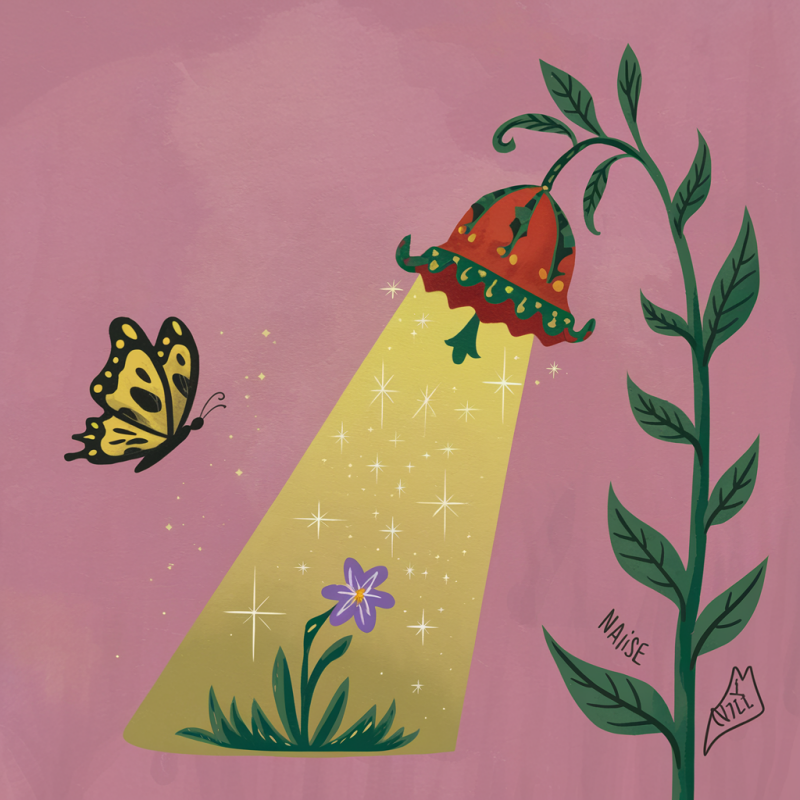 Butterfly and Flower Graphic T-Shirt