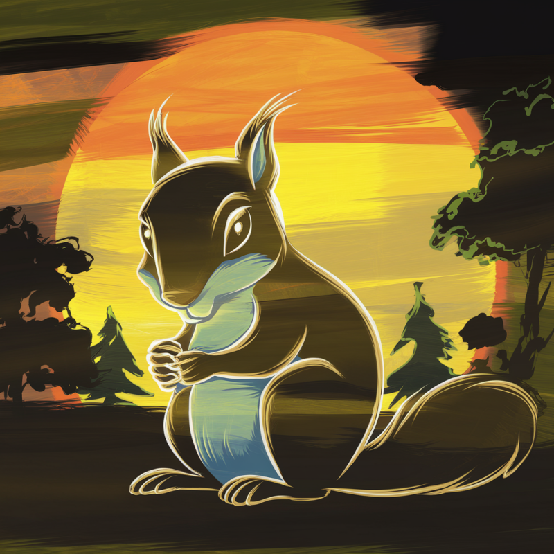 EcoSoft Squirrel Graphic Black Cotton T-Shirt